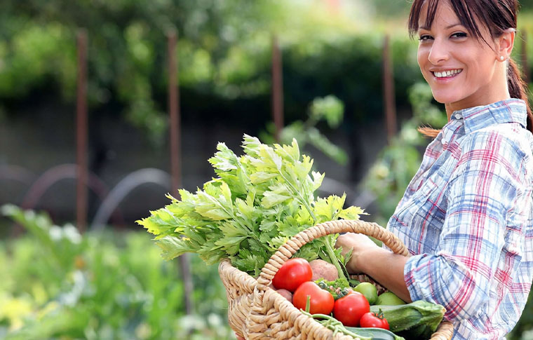 Hair Loss Can Be Fought With These 7 Foods